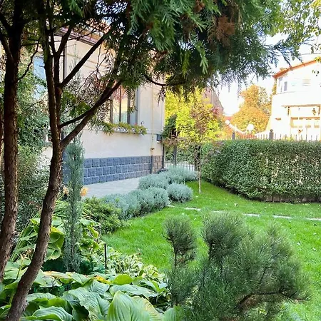 Provence Apartment Uzhhorod