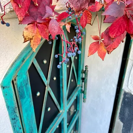 Provence Appartement