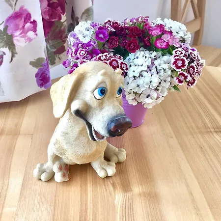 Appartement Provence