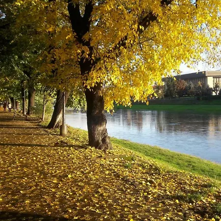 Apartment Provence Uzhhorod