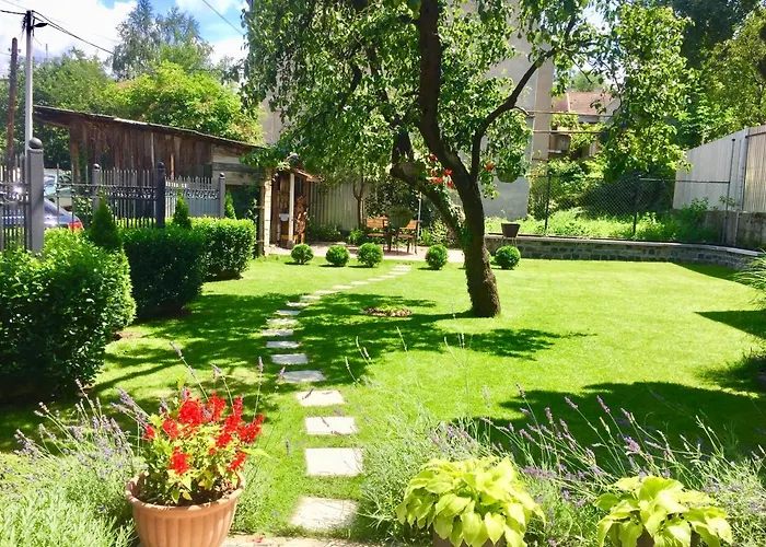 Provence Daire *
