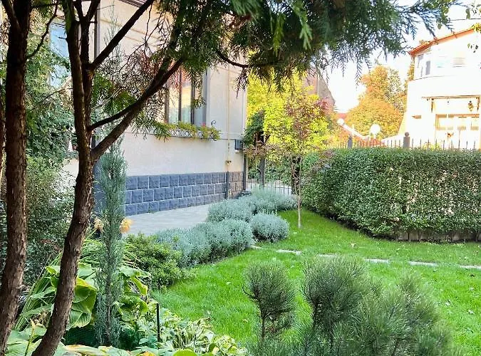Provence Daire Ujgorod